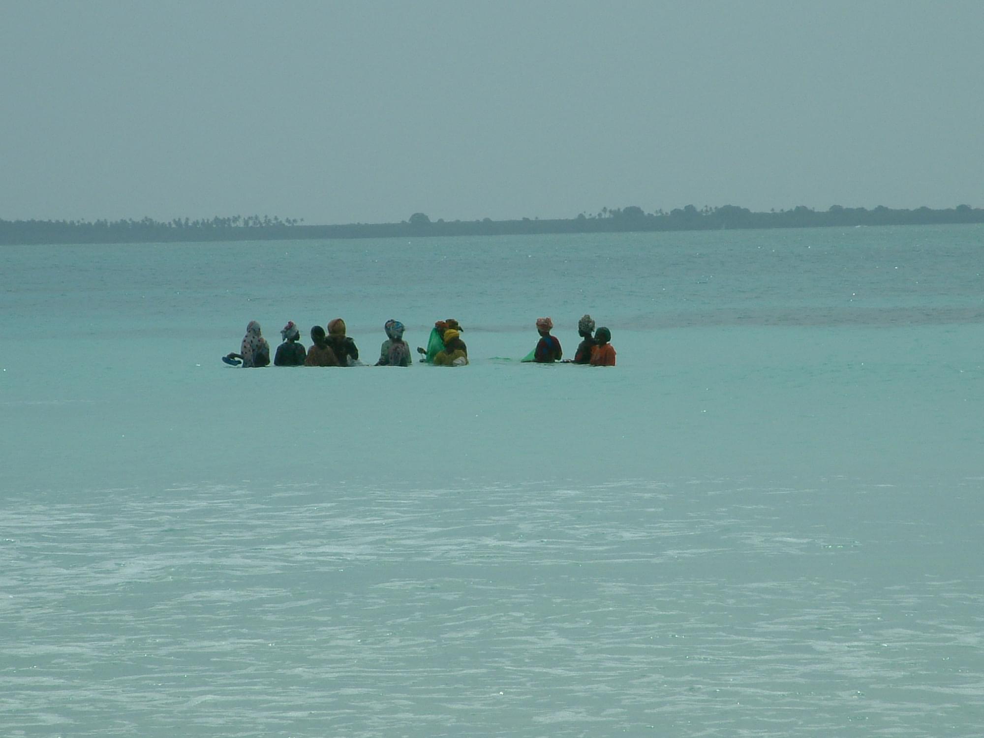 20040129   Zanzibar 277